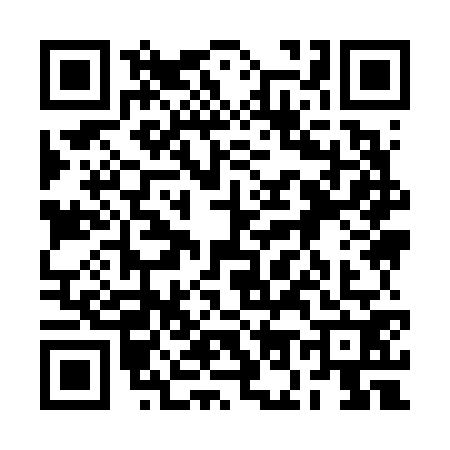 QR code for 2O96729
