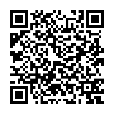 QR code for 2O9O711