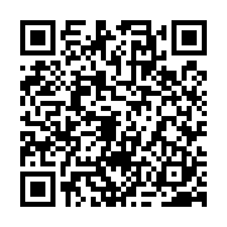 QR code for 2OO5238