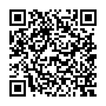 QR code for 2P0153X