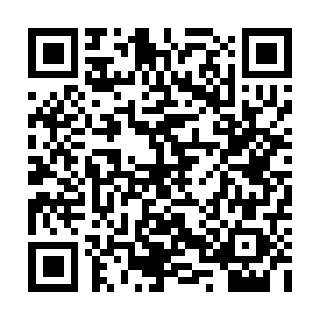 QR code for 2P0229L