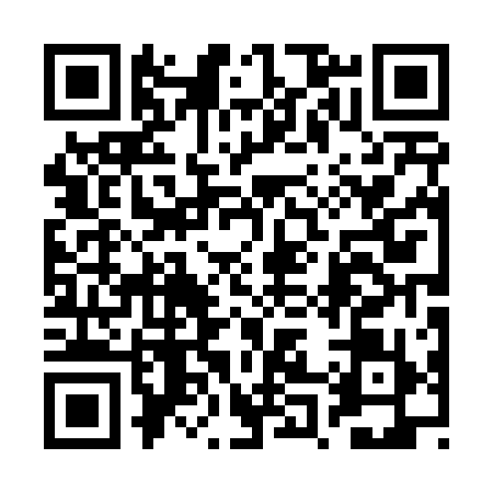 QR code for 2P04199
