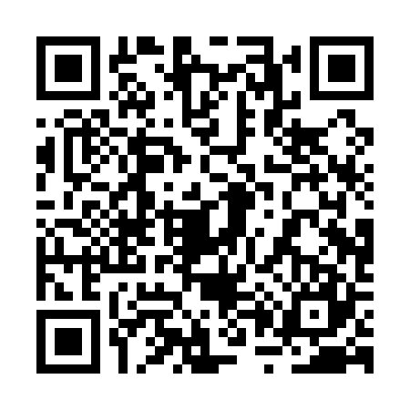 QR code for 2P0Q273