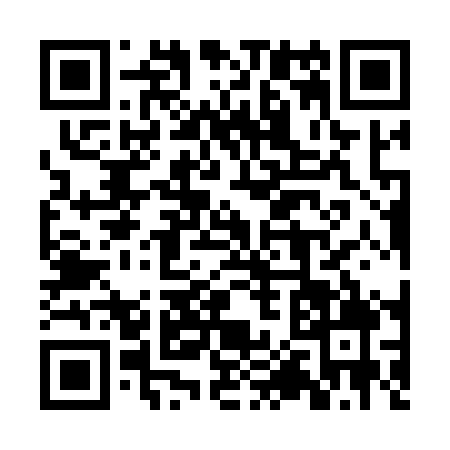 QR code for 2P11096