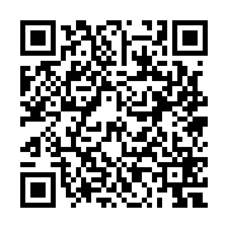 QR code for 2P11697