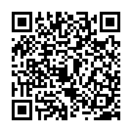 QR code for 2P13495