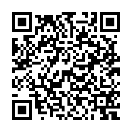 QR code for 2P1E542
