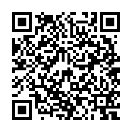 QR code for 2P2613S