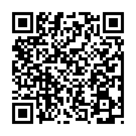 QR code for 2P2936X