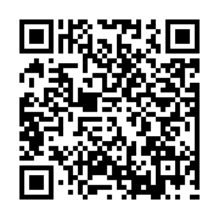 QR code for 2P29811