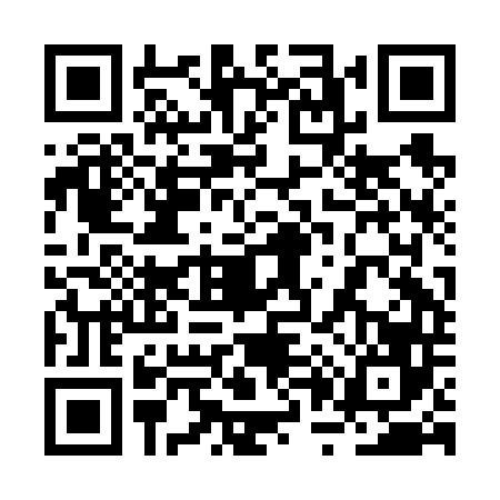 QR code for 2P2F463