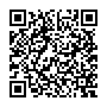 QR code for 2P2N556