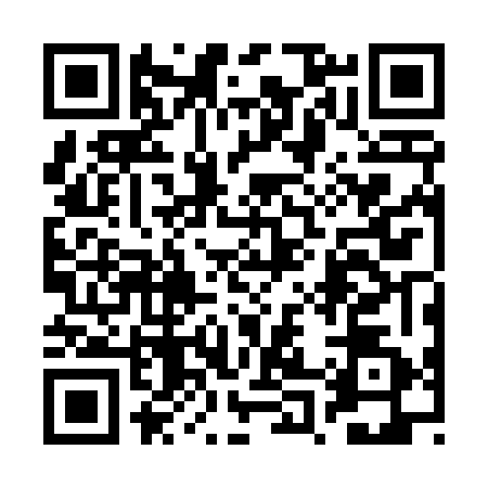 QR code for 2P2T620