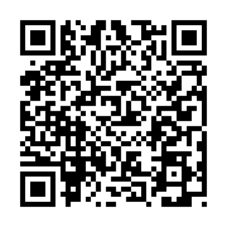 QR code for 2P2X285