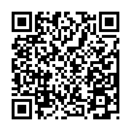QR code for 2P3384Z