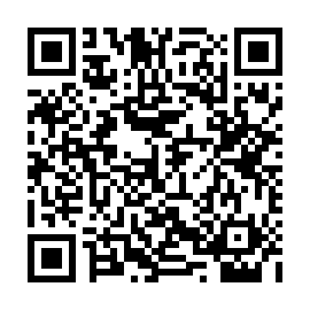 QR code for 2P36101
