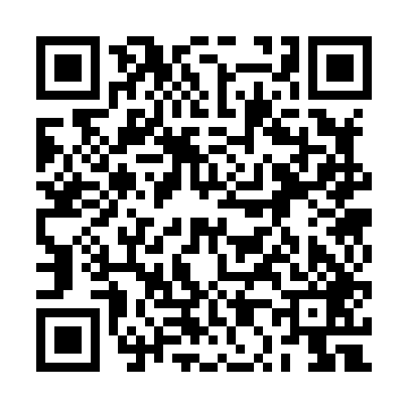 QR code for 2P3849C