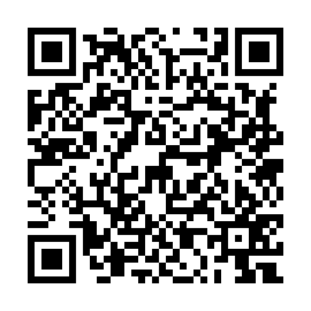 QR code for 2P3877A