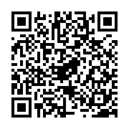 QR code for 2P3935C