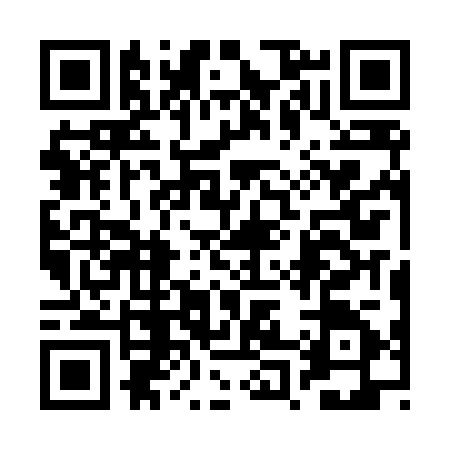 QR code for 2P3L250
