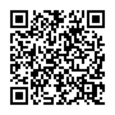 QR code for 2P419BD