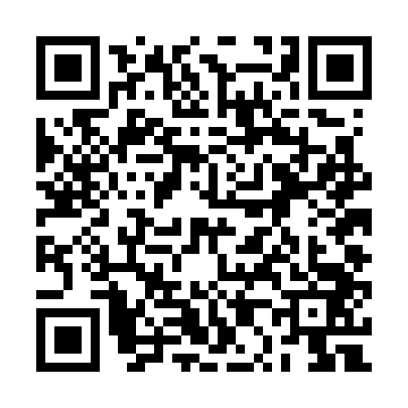 QR code for 2P4G430