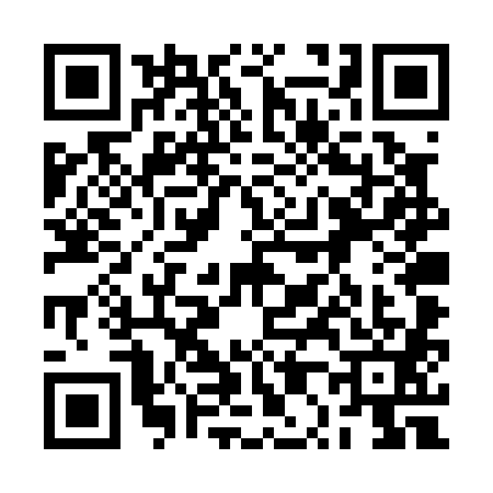 QR code for 2P4P819
