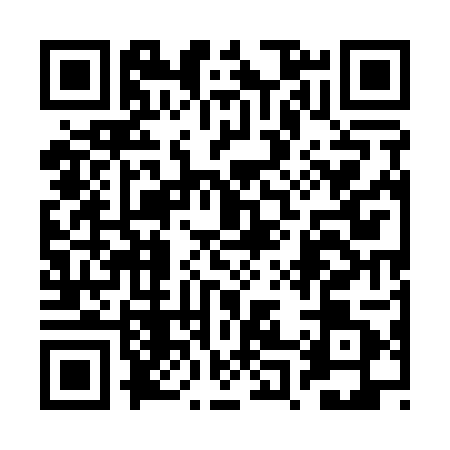 QR code for 2P51018