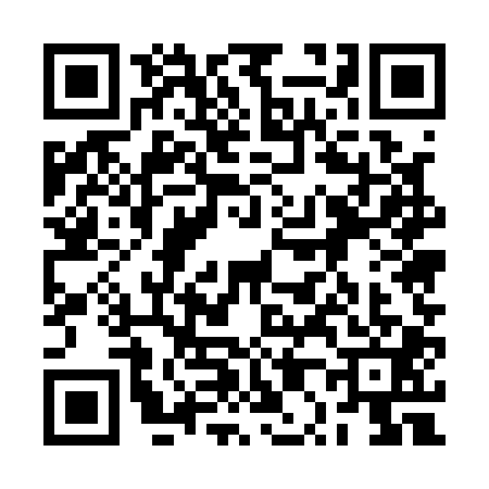 QR code for 2P51019