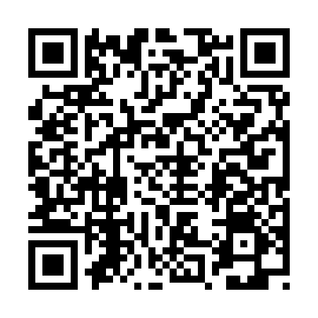 QR code for 2P599TX
