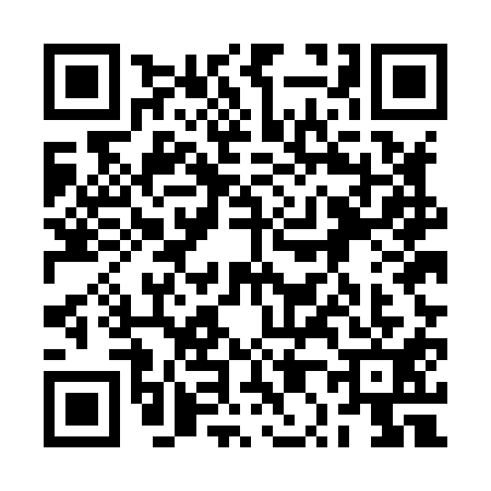 QR code for 2P5H119