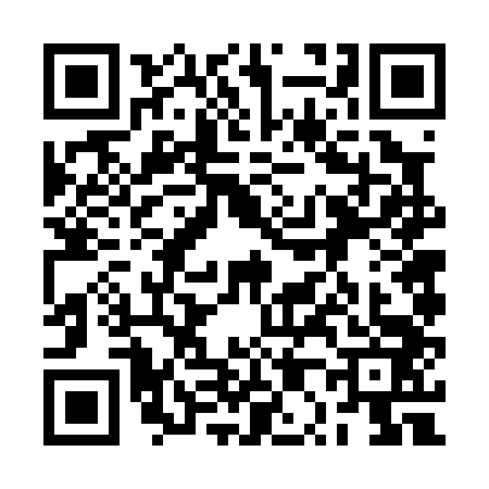 QR code for 2P60433