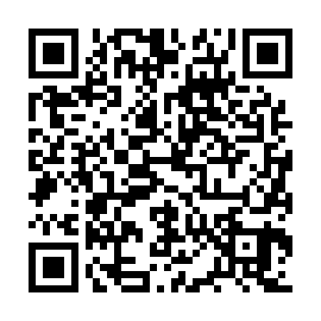QR code for 2P6161A