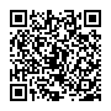 QR code for 2P6238G