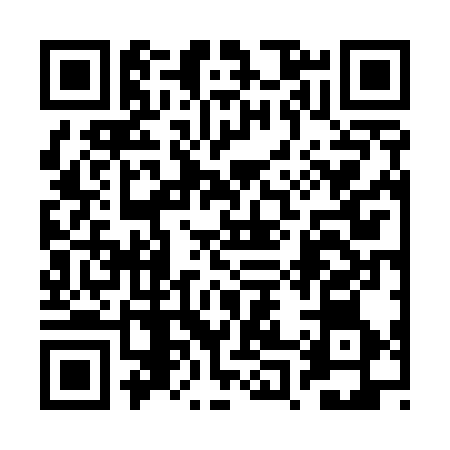 QR code for 2P6536X