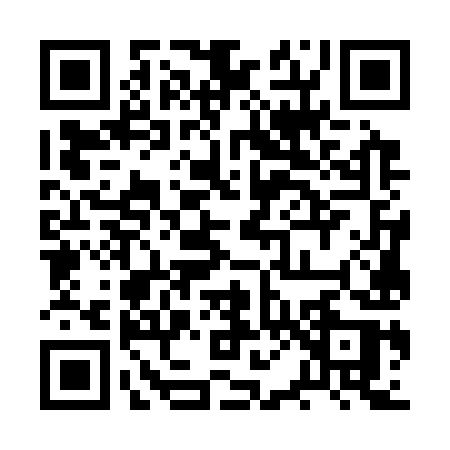 QR code for 2P739SH