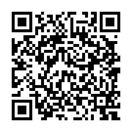 QR code for 2P8096Z