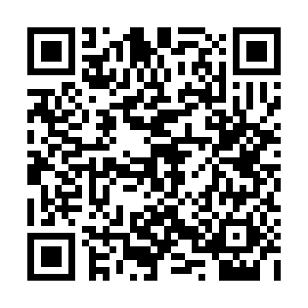 QR code for 2P8380J