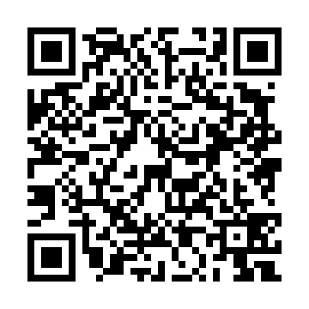 QR code for 2P84393