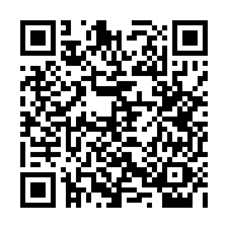 QR code for 2P917ZC