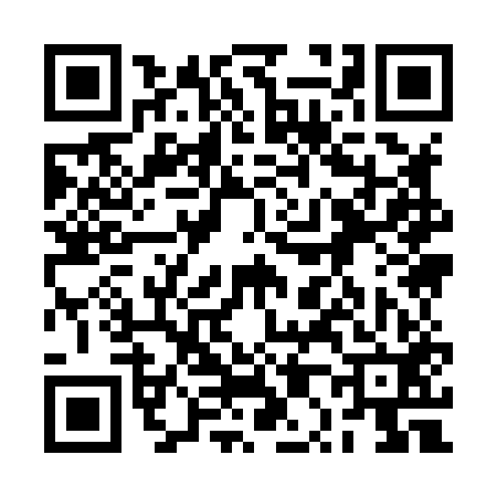 QR code for 2P9852X