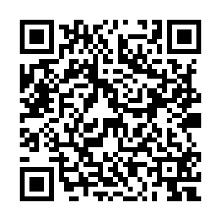 QR code for 2P9Y129
