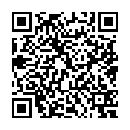 QR code for 2PH5334