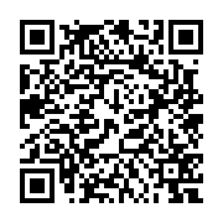 QR code for 2PO0775