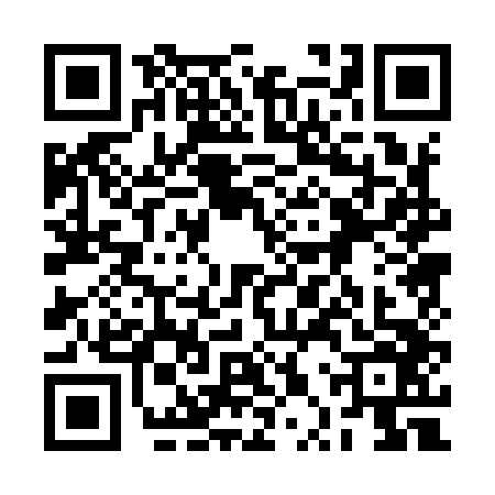 QR code for 2PP9463
