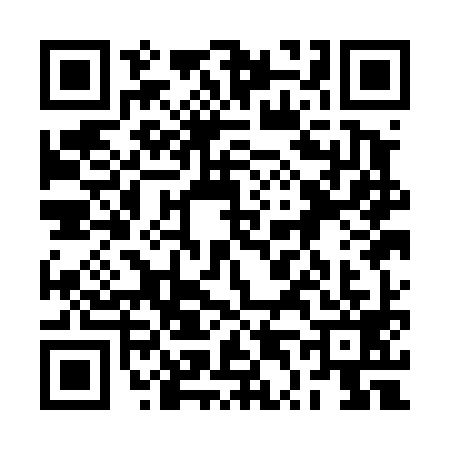 QR code for 2T1D995