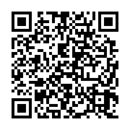 QR code for 2T2349P