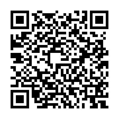 QR code for 2T3K528