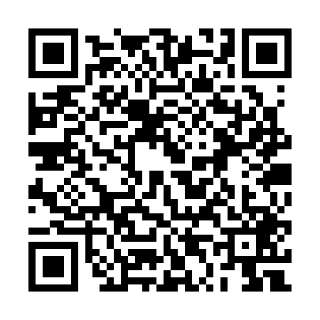 QR code for 2T3S496