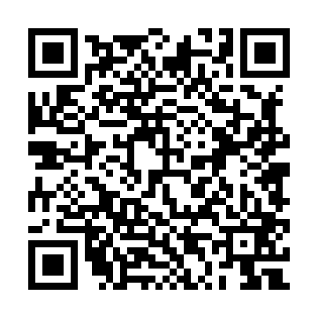 QR code for 2T4803P